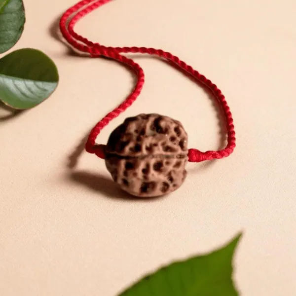 4 Mukhi Rudraksha – Nepal (With Thread) — Consecrated Numero-Vastu Remedy by Dhrminder Bhattia