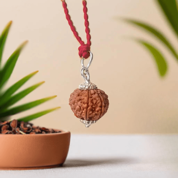 7 Mukhi Rudraksha Nepal (With Silver Capping) and Thread — Consecrated Numero-Vastu Remedy by Dhrminder Bhattia