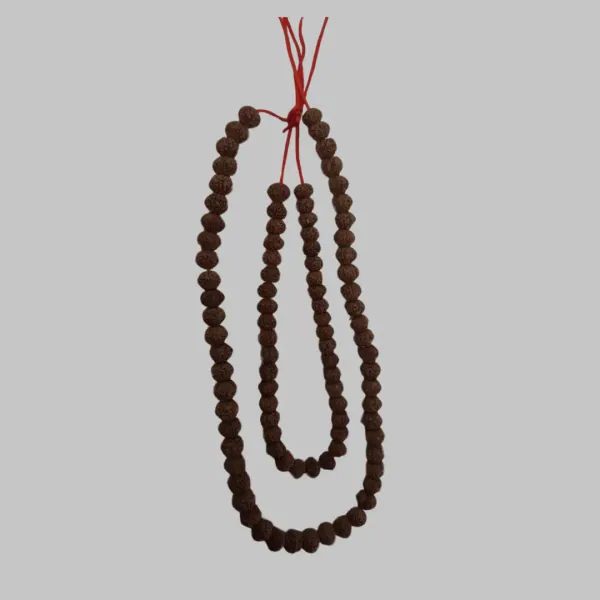 Rudraksh Mala 7 Mukhi (8MM) 100% Authentic Rudraksh — Consecrated Numero-Vastu Remedy by Dhrminder Bhattia